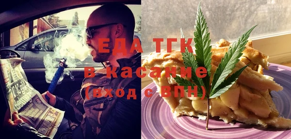 хмурый Алзамай